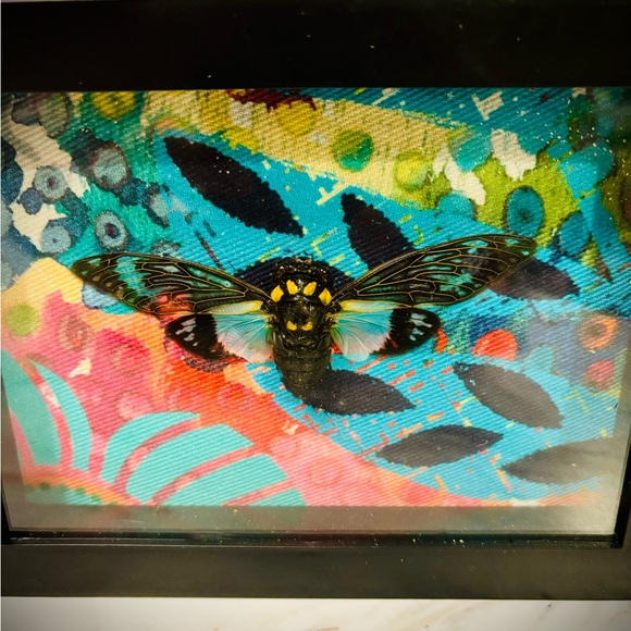 Blue Cicada Set - Picture 4 of 4